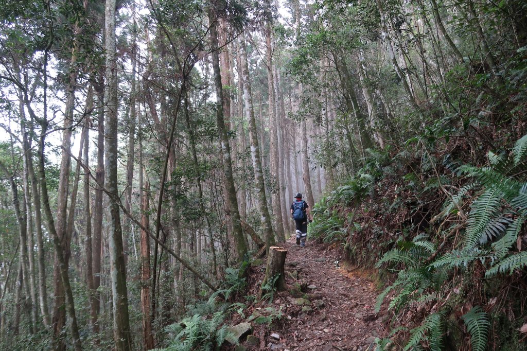 橫沙笛縱走_2651028