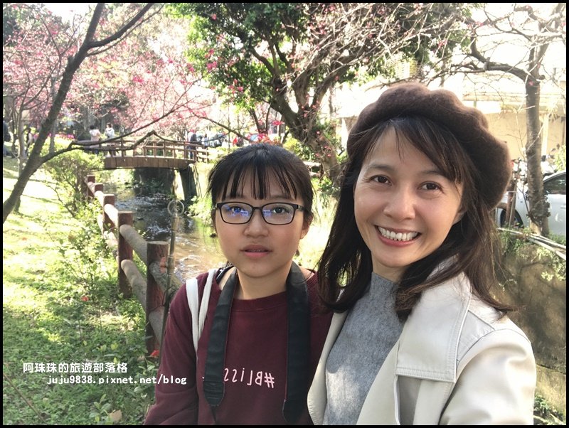 桃園。中壢莒光公園八重櫻熱烈綻放中_856090