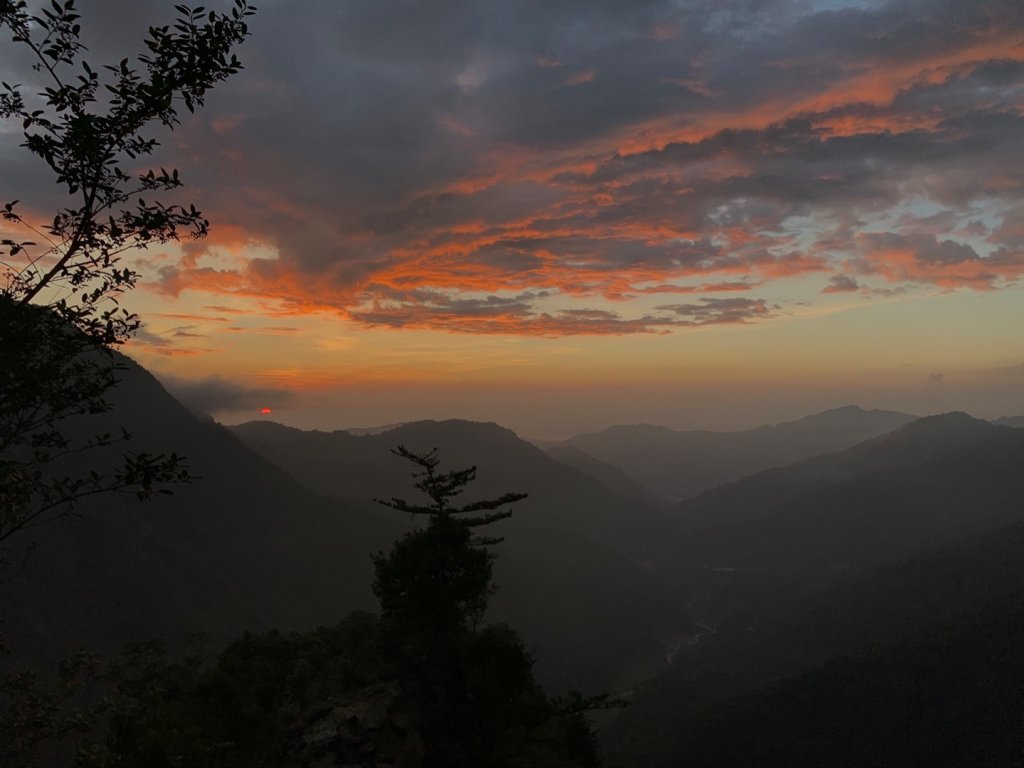 百川山沿稜探勘過210林道至海拔2025公尺處111.9.24_1912610