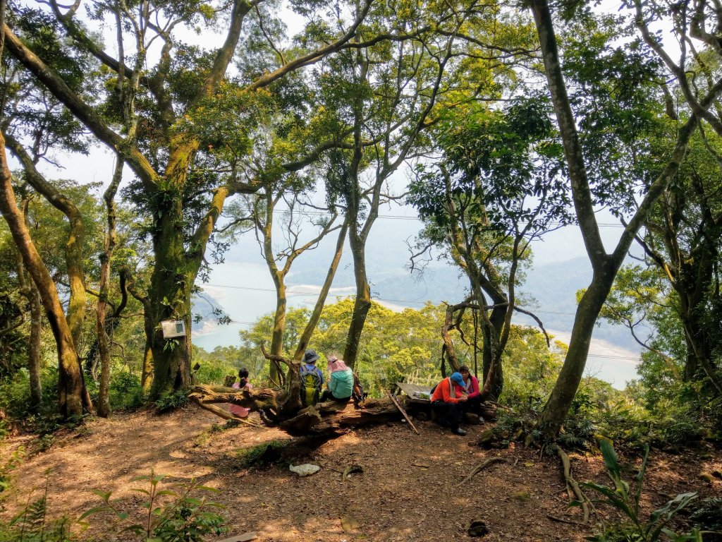 桃園新溪頭縱走-新溪洲山、溪洲山、頭寮山封面圖