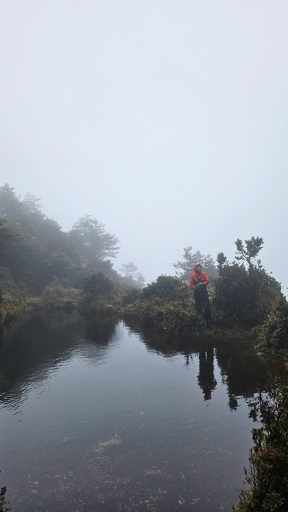 20250319～20嘉明湖國家步道🥶🥶🥶殘念😭_2739731