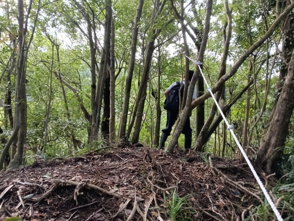 平溪區善覺寺步道+畝畝山北稜線+畝畝山+石硿子瀑布+灰窯瀑布O型_2940021
