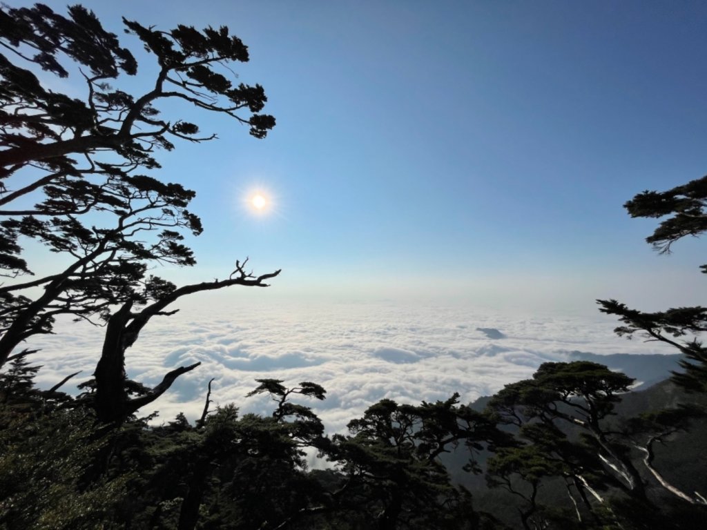 見證最美麗北大武山雲海、鐵杉封面圖