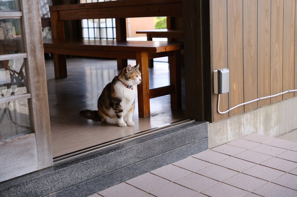 日本熊野古道_2834748