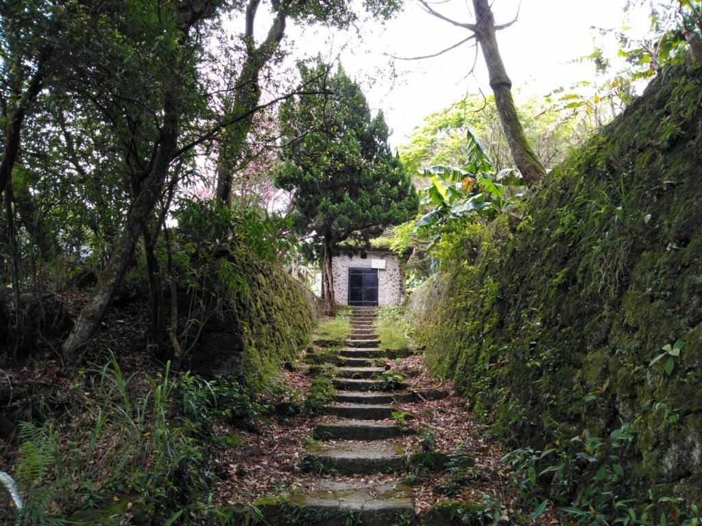 20200317(二）行義路登七星山O行_882817