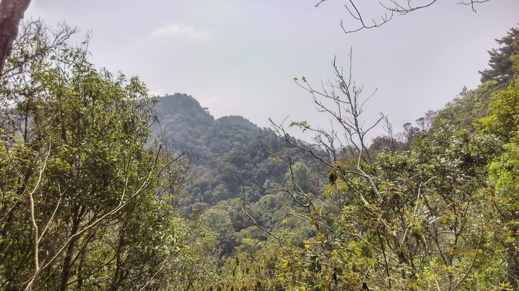 大坑5-1步道~頭嵙山三角點_872076