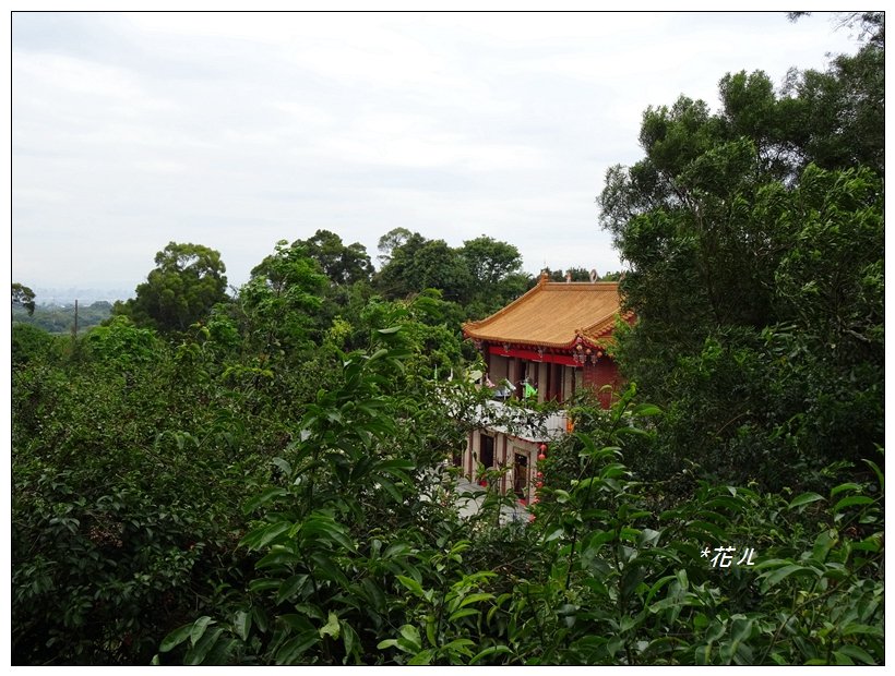 桃源里森林步道_904539