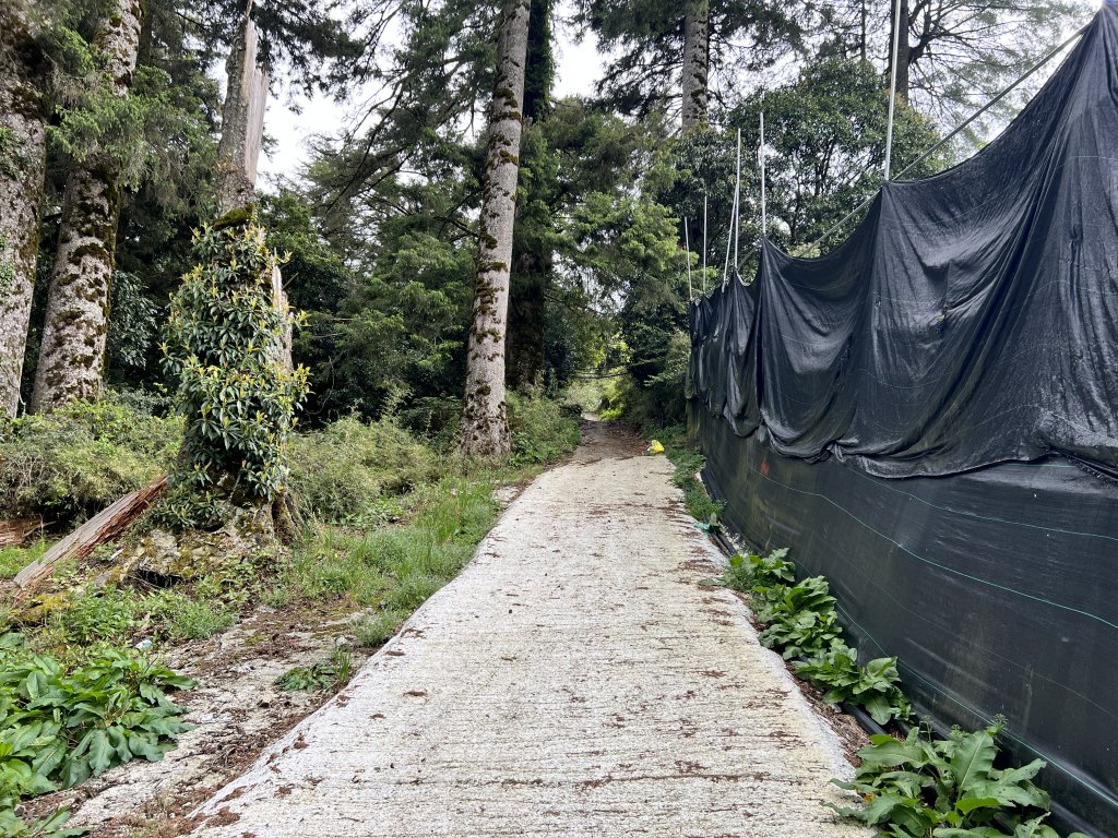 將軍廟上天鑾池上下_2162781