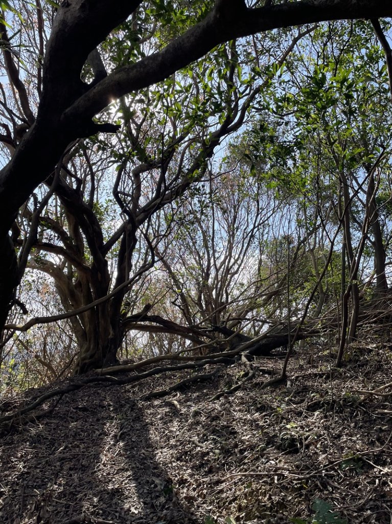 七堵到三坑_2695222