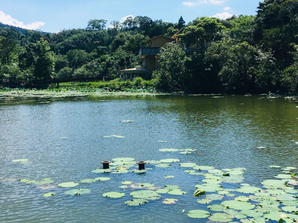 1090615向天湖山.光天高山環走_998983