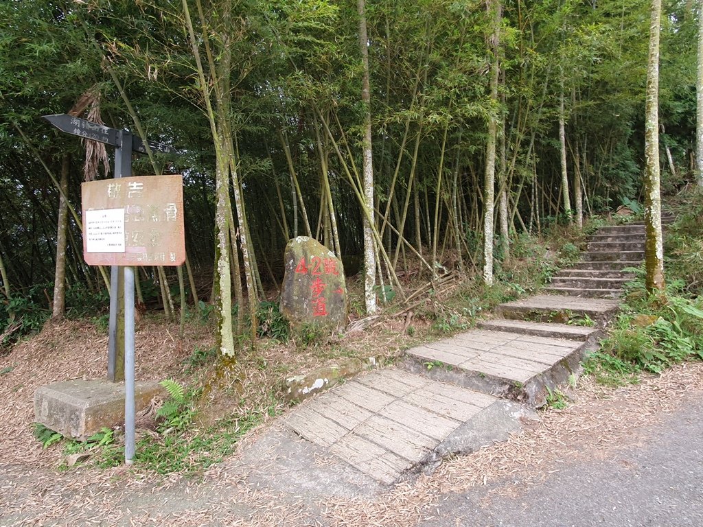 雲喜五連峰(加碼走竹仔苓步道)_1206634