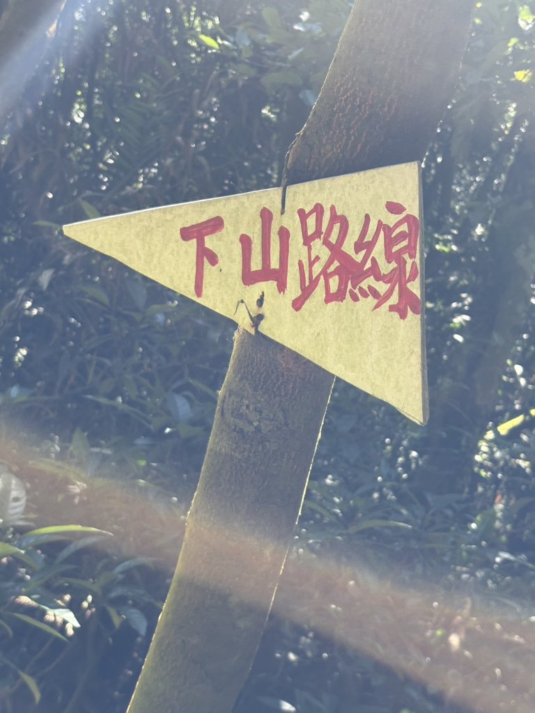 20251116鳴海山、網子山登山步道_2938345