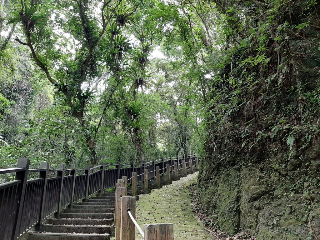 【跟著寶寶漫步參山】獅頭山五連走_1136010