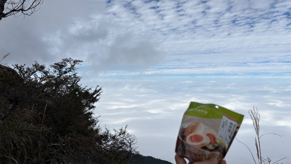 再也不爬囉（告別2025_2973164