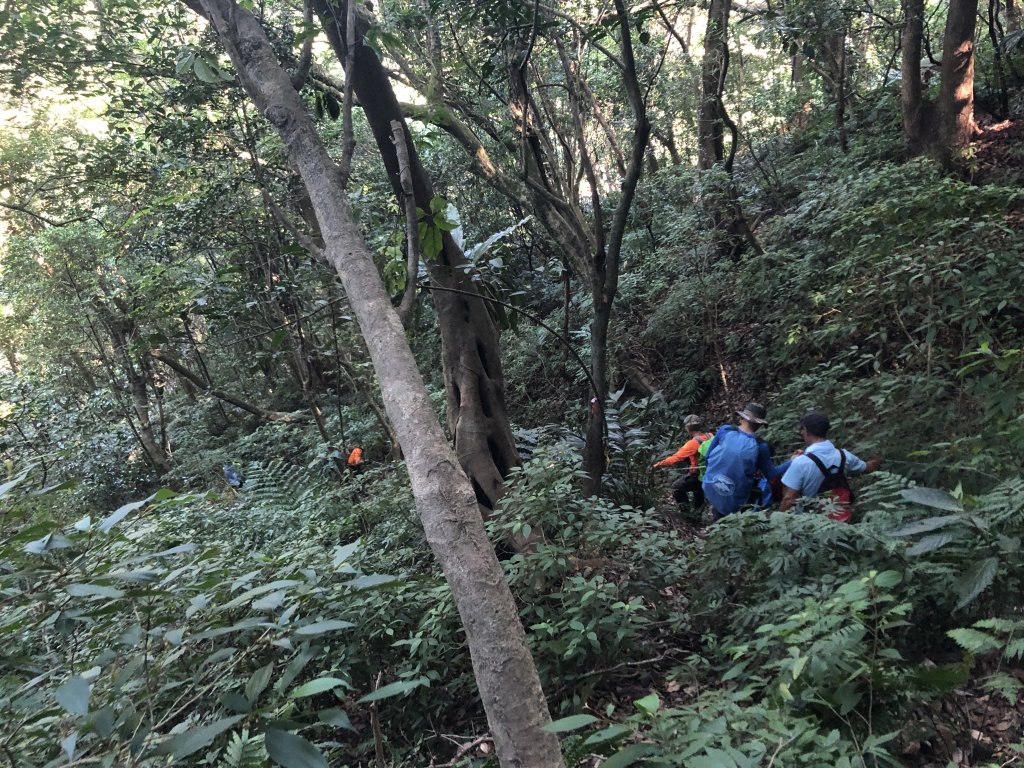 三芝｜青山瀑布。老梅冷泉_1032874