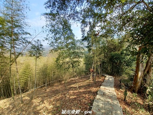 【南投魚池草屯】竹海漫步超悠閒。 孟宗竹林古戰場x中興新村_2071490