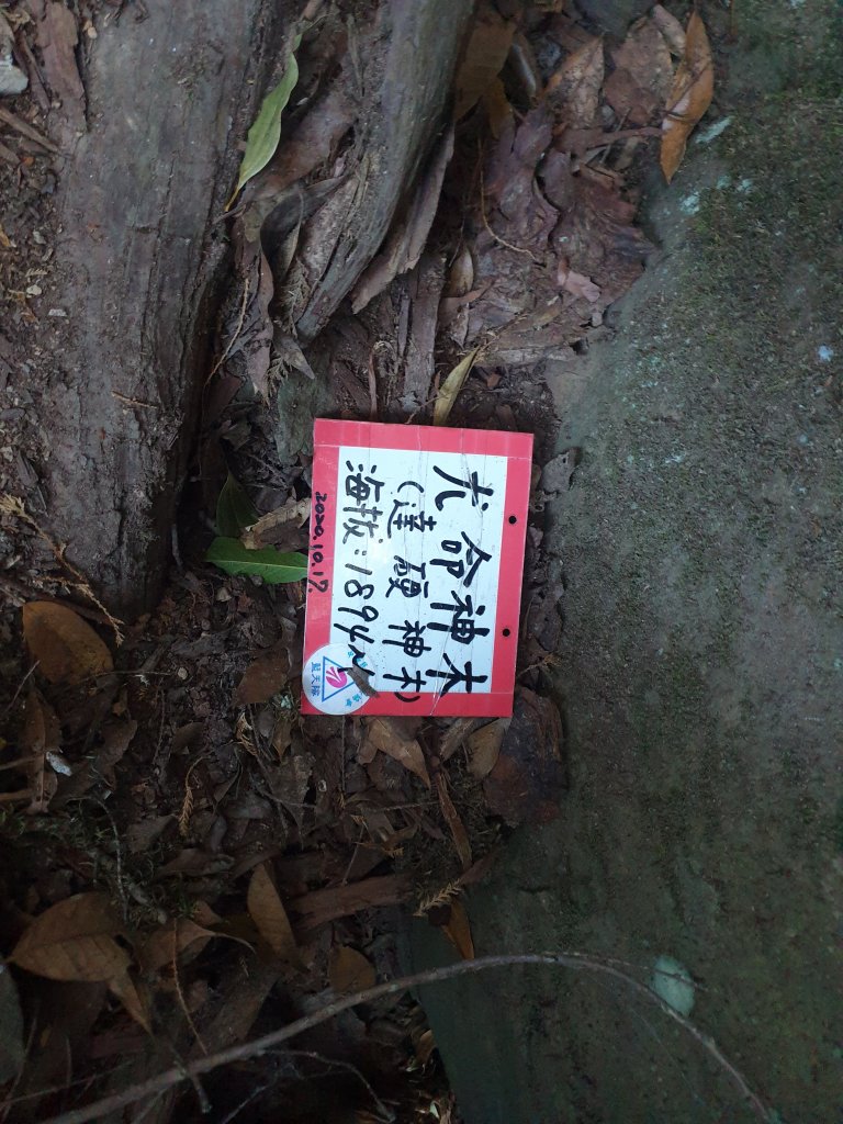 20230108鹿山、鹿坑山、南比林山與尤命神木_2010922