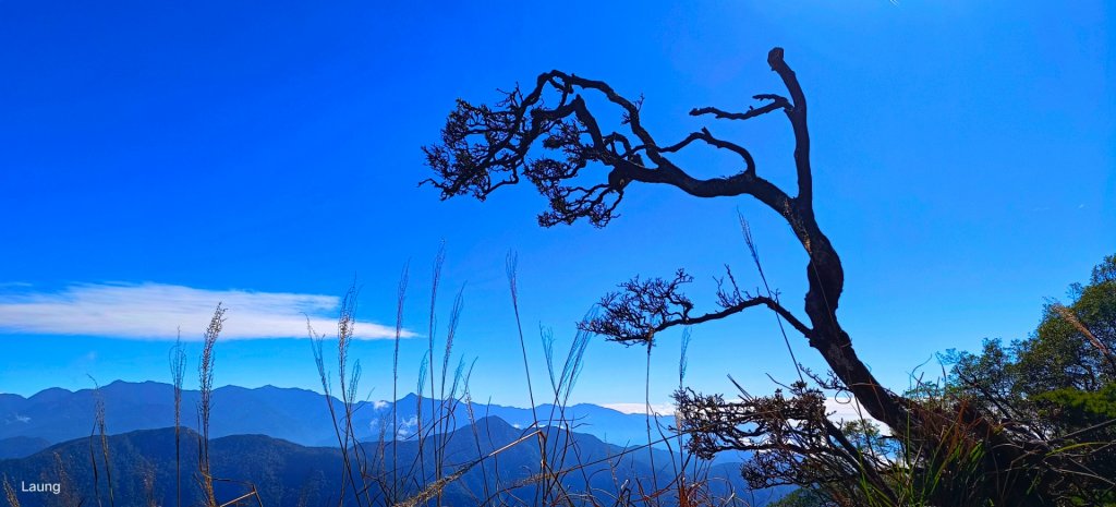 111.12.18 虎山-加里山-虎山（虎加虎縱走）_1959035