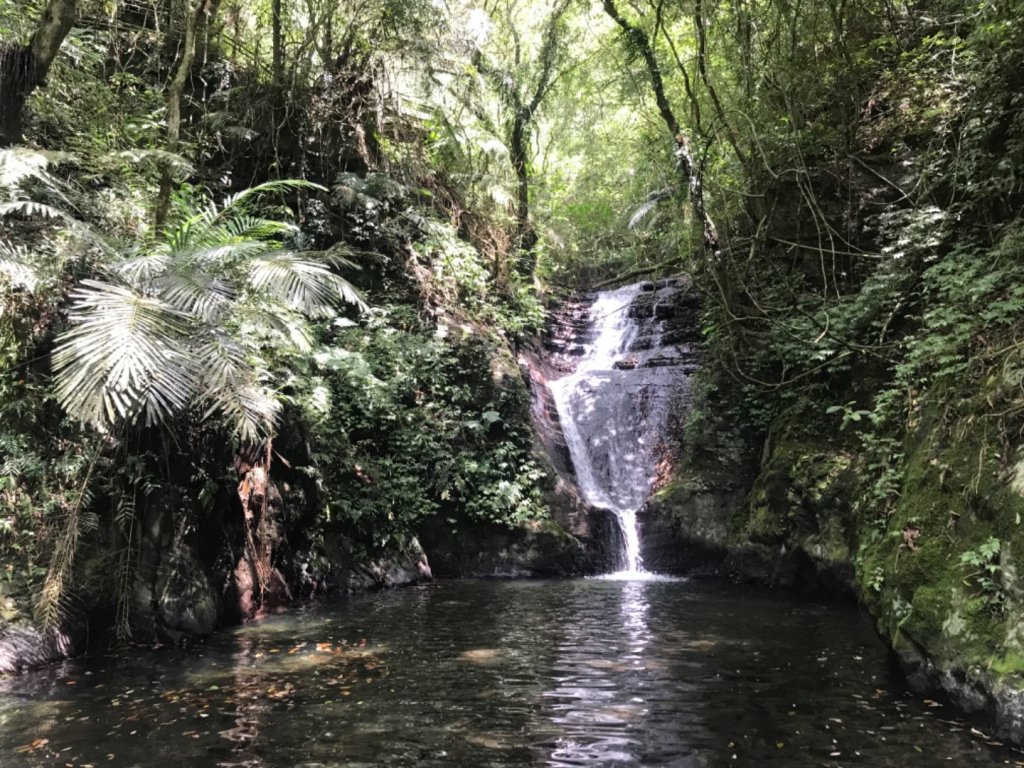 五峰旗瀑布步道_2115148