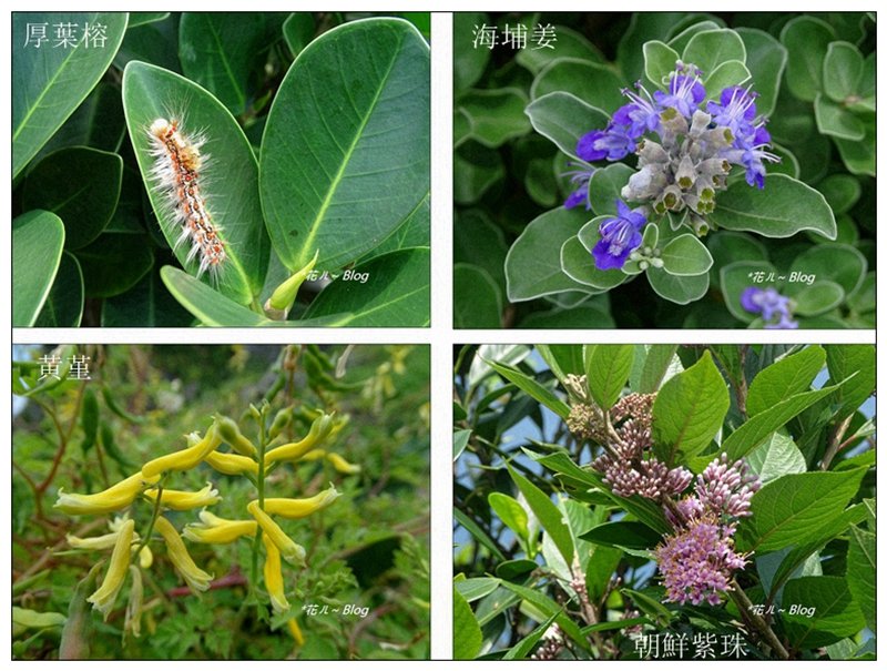 基隆嶼/燈塔步道_634563