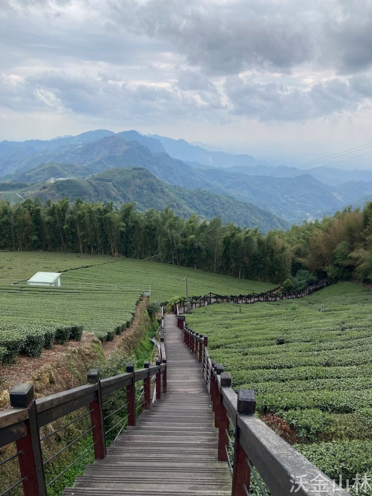 2024-03-31 頂石棹步道群_2470235