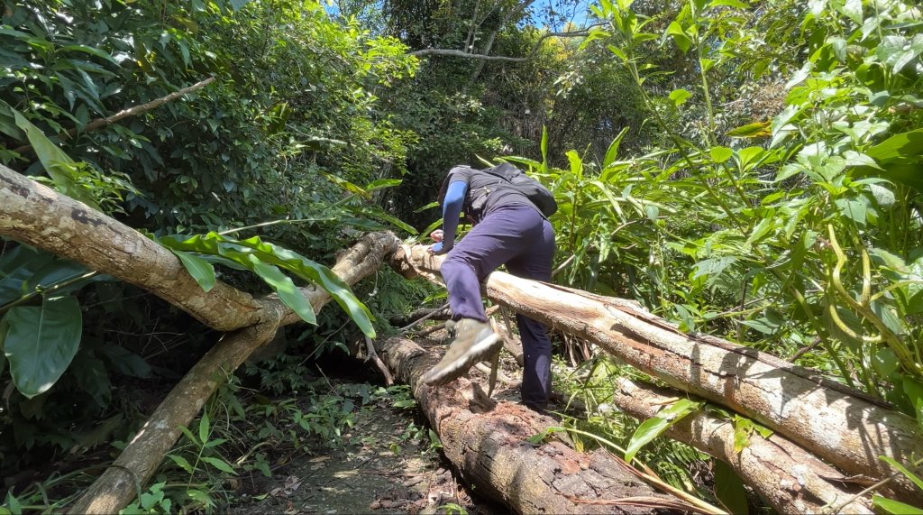 九份二山_2597571