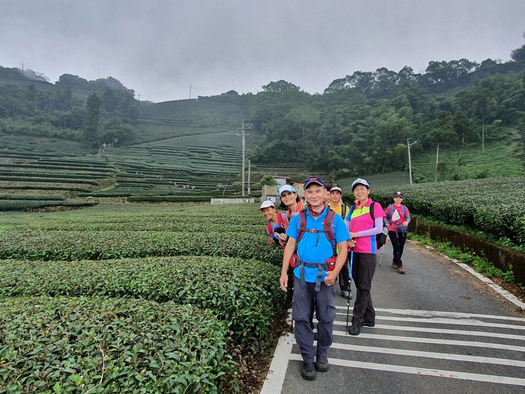 【雲嘉】後棟山連走大二尖山_1478489