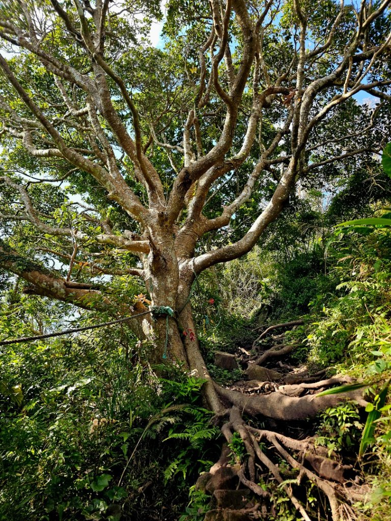 人潮滿滿的觀音山_2985990