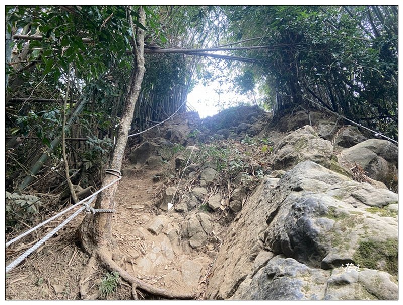 旗靈縱走(旗尾山、福美山、金字面山、人頭山、靈山)_2996445