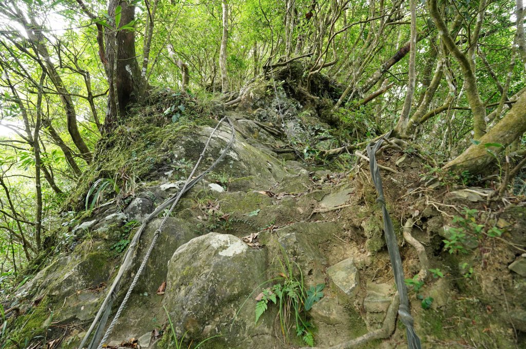 新北 烏來 烏來山、大桶山、四崁水山_2829241