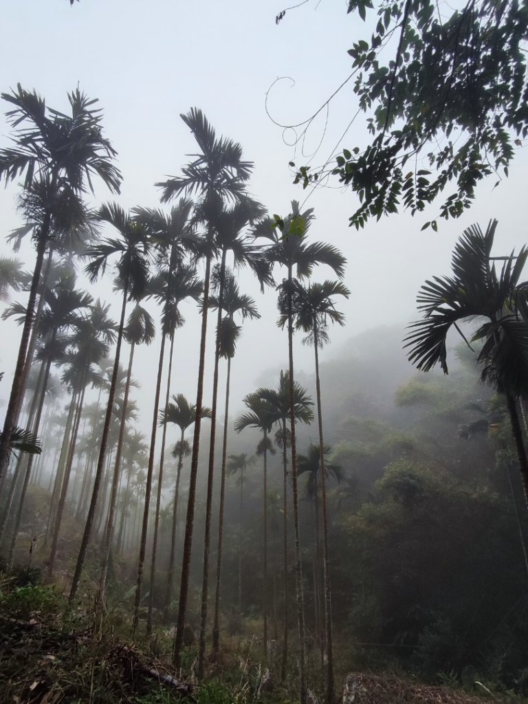 九讚頭車站-大崎棟.茶亭.逃學.騎龍古道20幾K繞大O_2972518