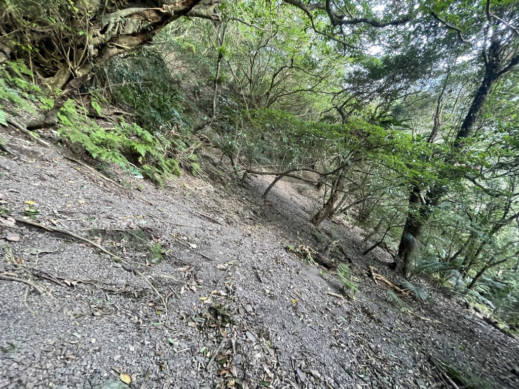 貢寮大嶺古道登桃源谷 淡蘭古道_1956190