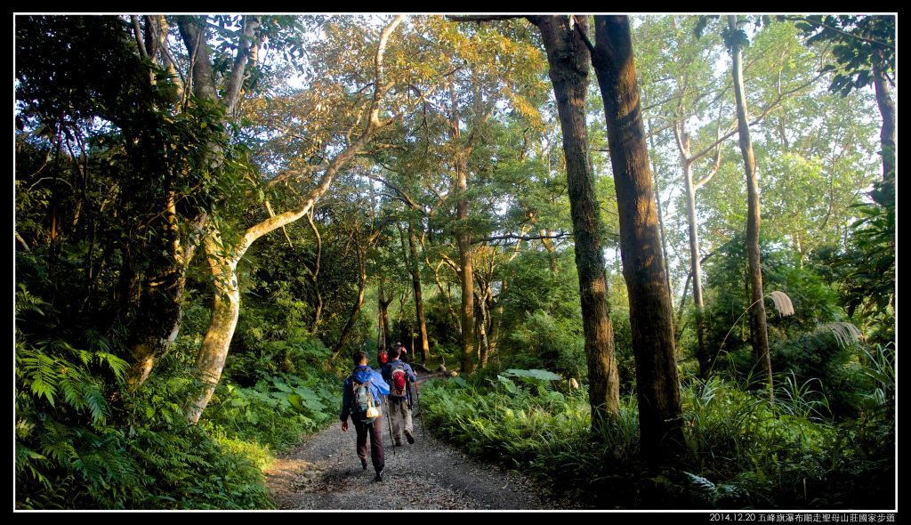 〖聖母山莊國家步道〗賞皺褶地形_359055