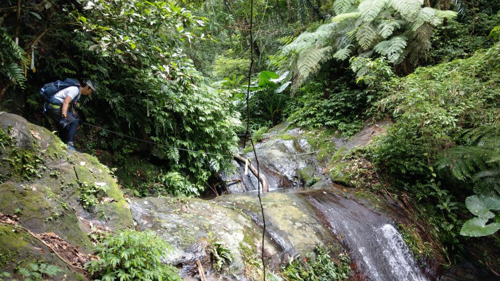 石牛山之溪_399704