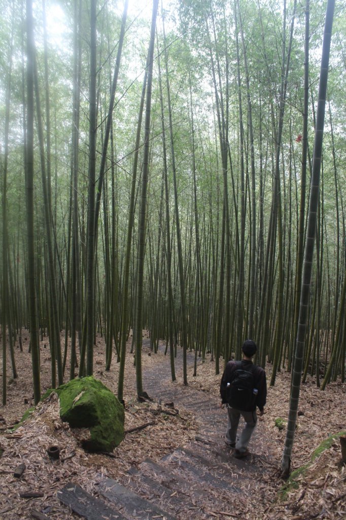 20211113嘉義石壁山-好望角-嘉南雲峰_1517250