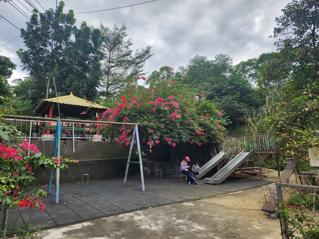 【台中大坑】6-10號步道全家餐路線_2355322