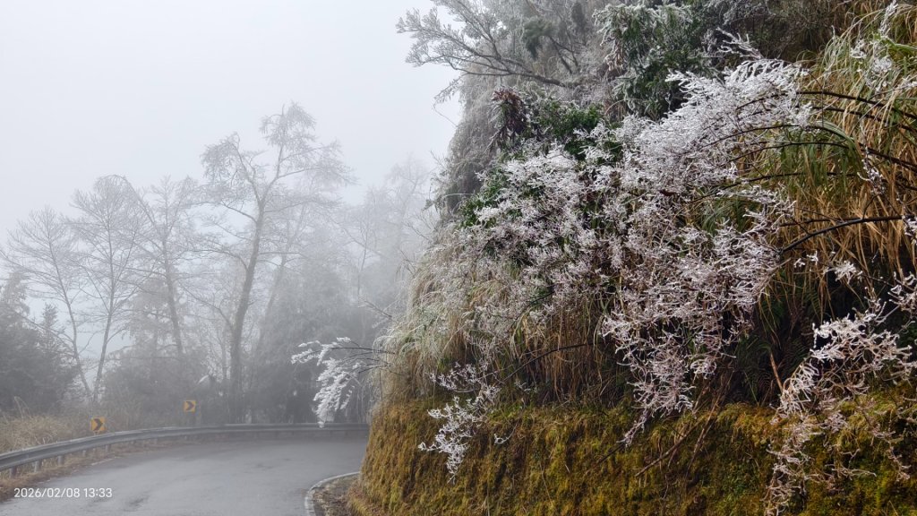#霧淞 #雲海 #雲瀑 #霧虹 #太平山 #望洋山 #觀雲步道 #翠峰道路  2/8_2995355