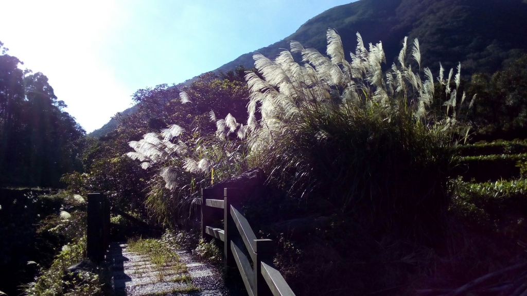 中正山．青楓步道．竹子湖_93710