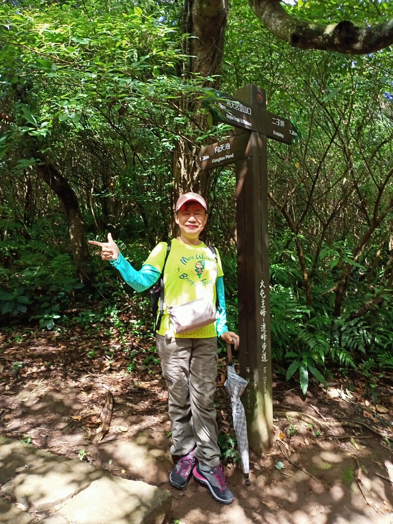 【臺北大縱走 1】(2-1) 二子坪遊客服務站→下青礐步道_1486227