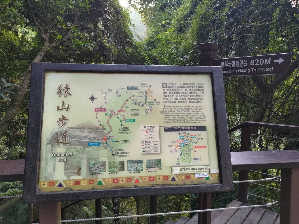 【新竹縣峨嵋鄉】藤坪步道_2833238
