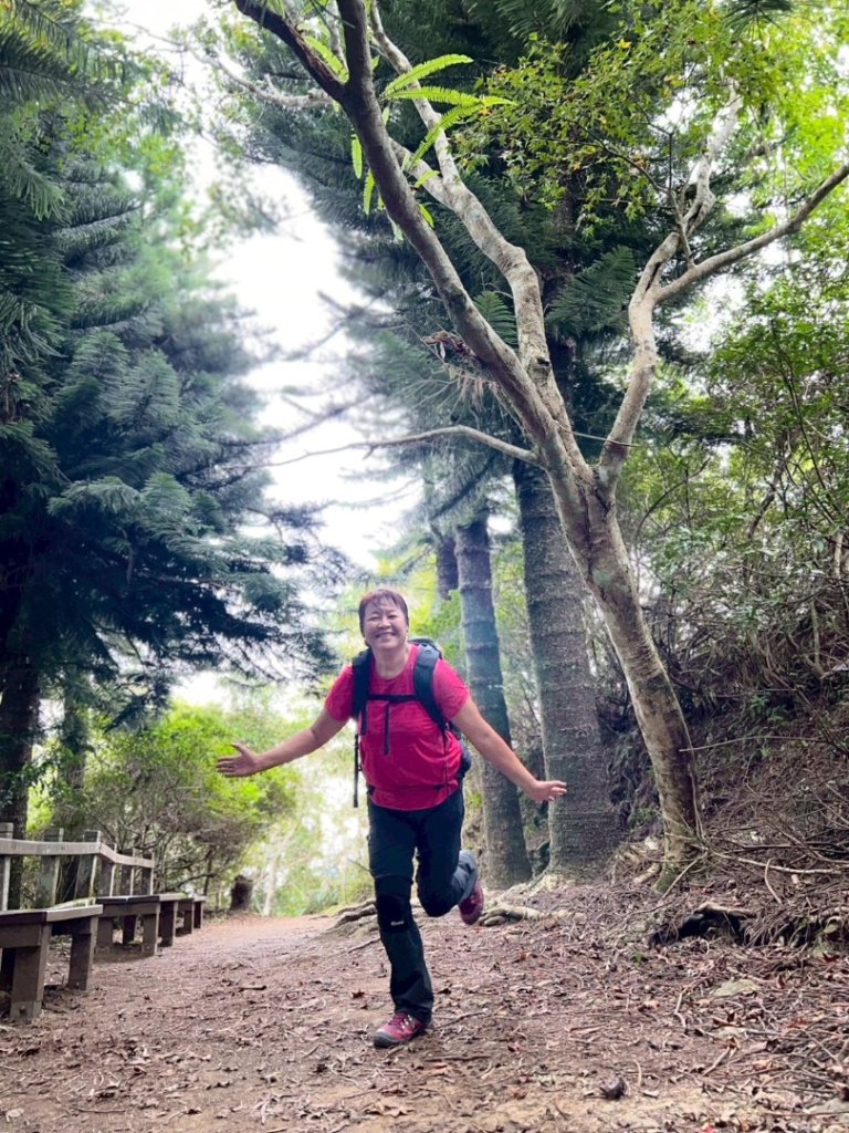 馬那邦山（珠湖登山口）_2934011