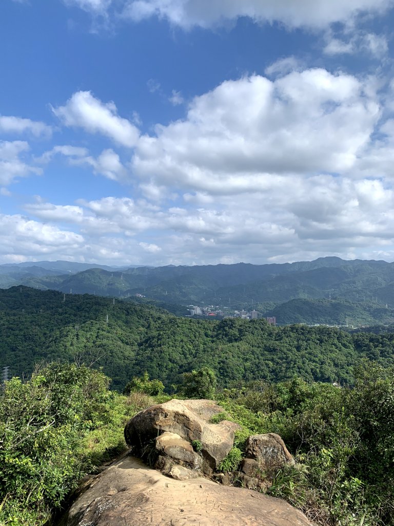 201001-四獸山縱走（虎山、豹山、獅山、象山）_1372862