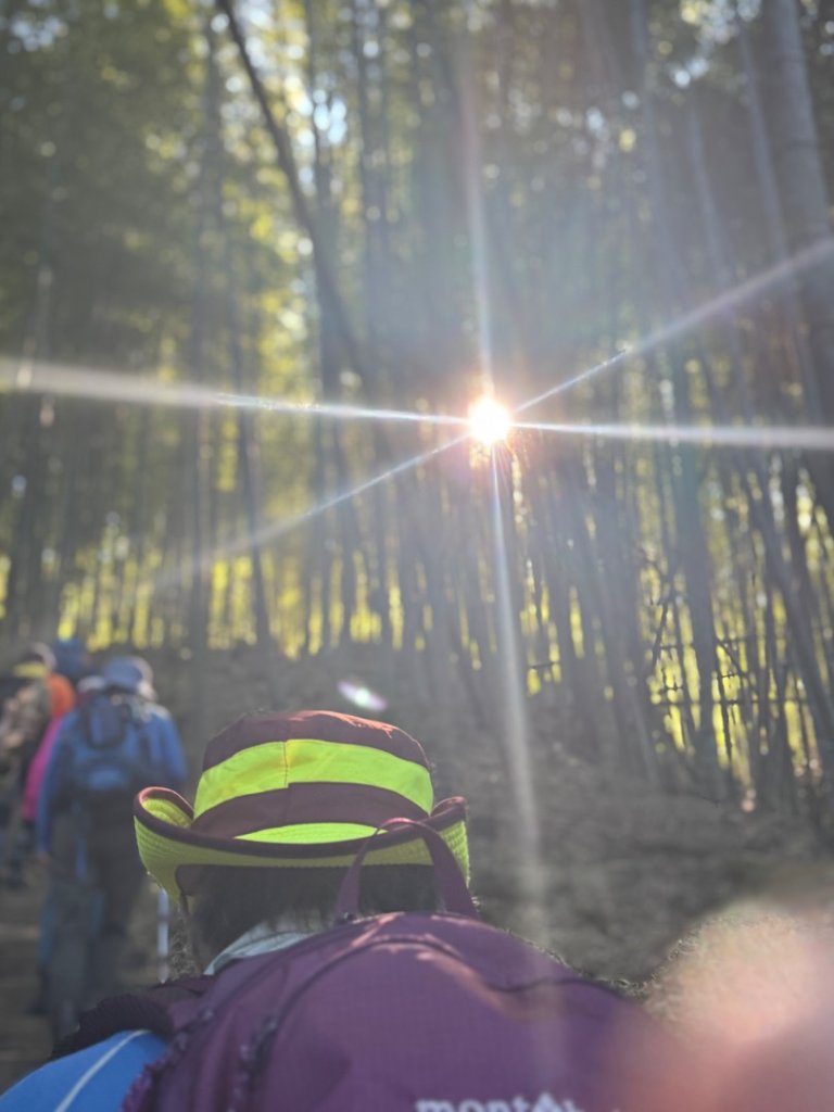 九穹神木 左訪嘉南雲峰 右到好望角看風景上石壁山(小百岳#55)_2944769