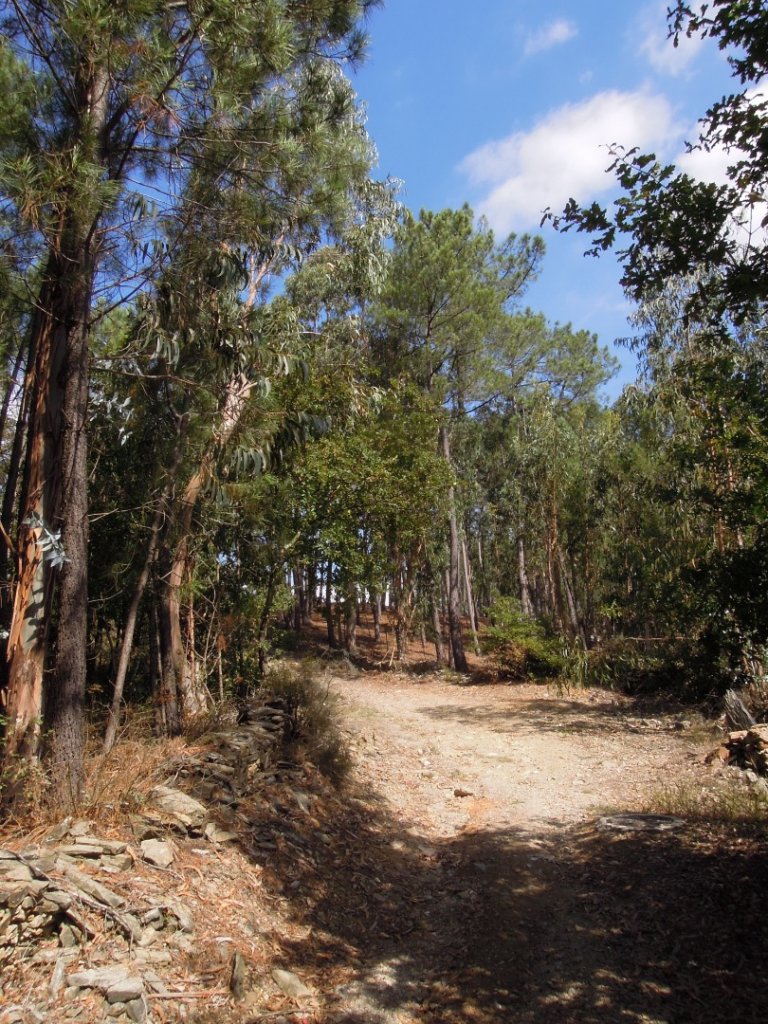 旅行熊的朝聖之路 Day01_688843