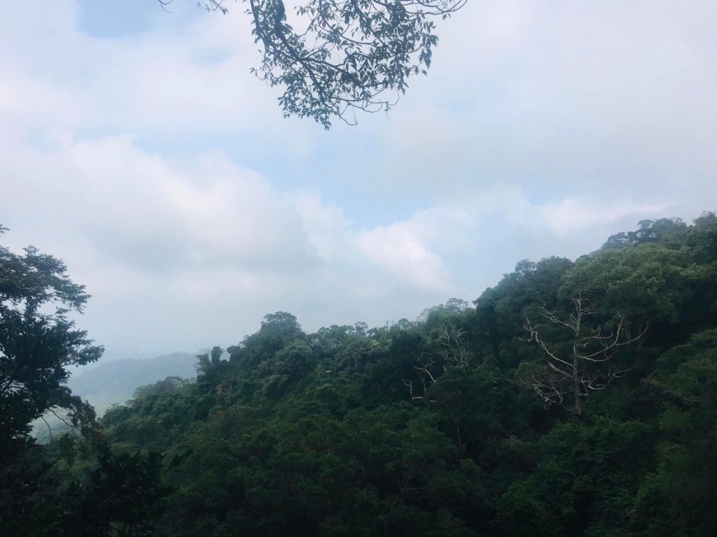 獅山古道、六寮古道、獅頭山o走_1924347