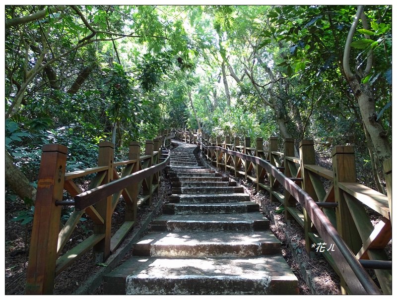 新竹/十八尖山步道 - 健行筆記