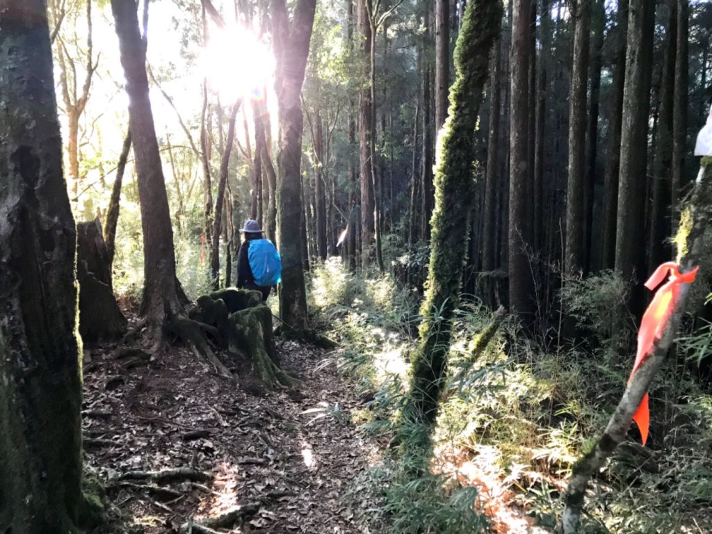 自忠上東水山連走特富野古道_1244573