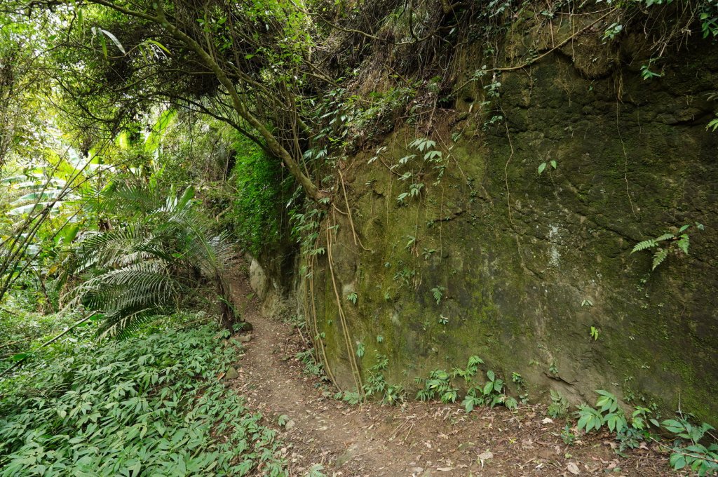 新竹 峨嵋 獅頭山、獅尾山、六寮山、猿山_2450083