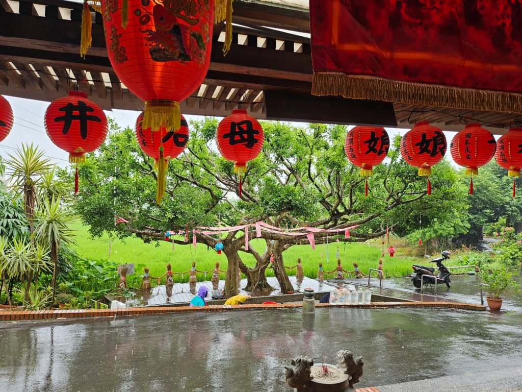 霄裡悠哉行封面圖