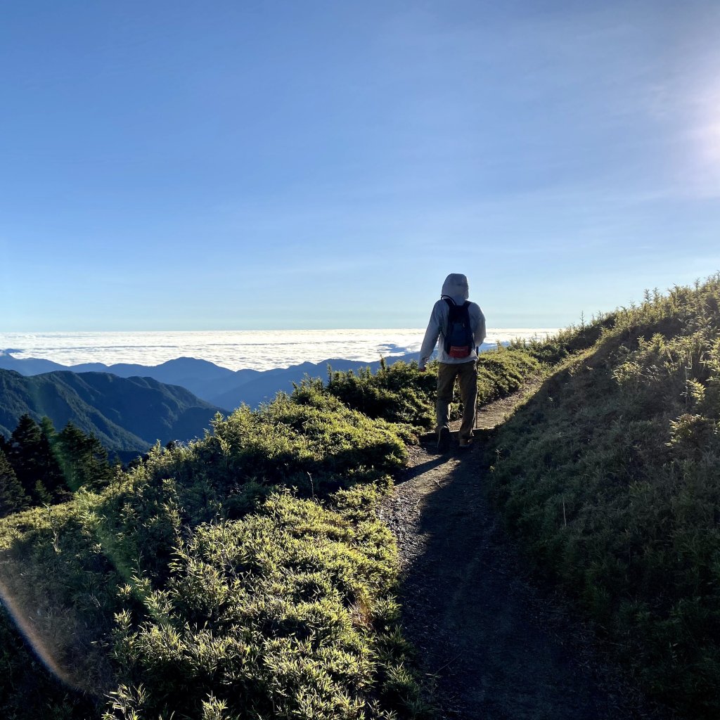 大霸群峰(大鹿林道上九九山莊)_1443063